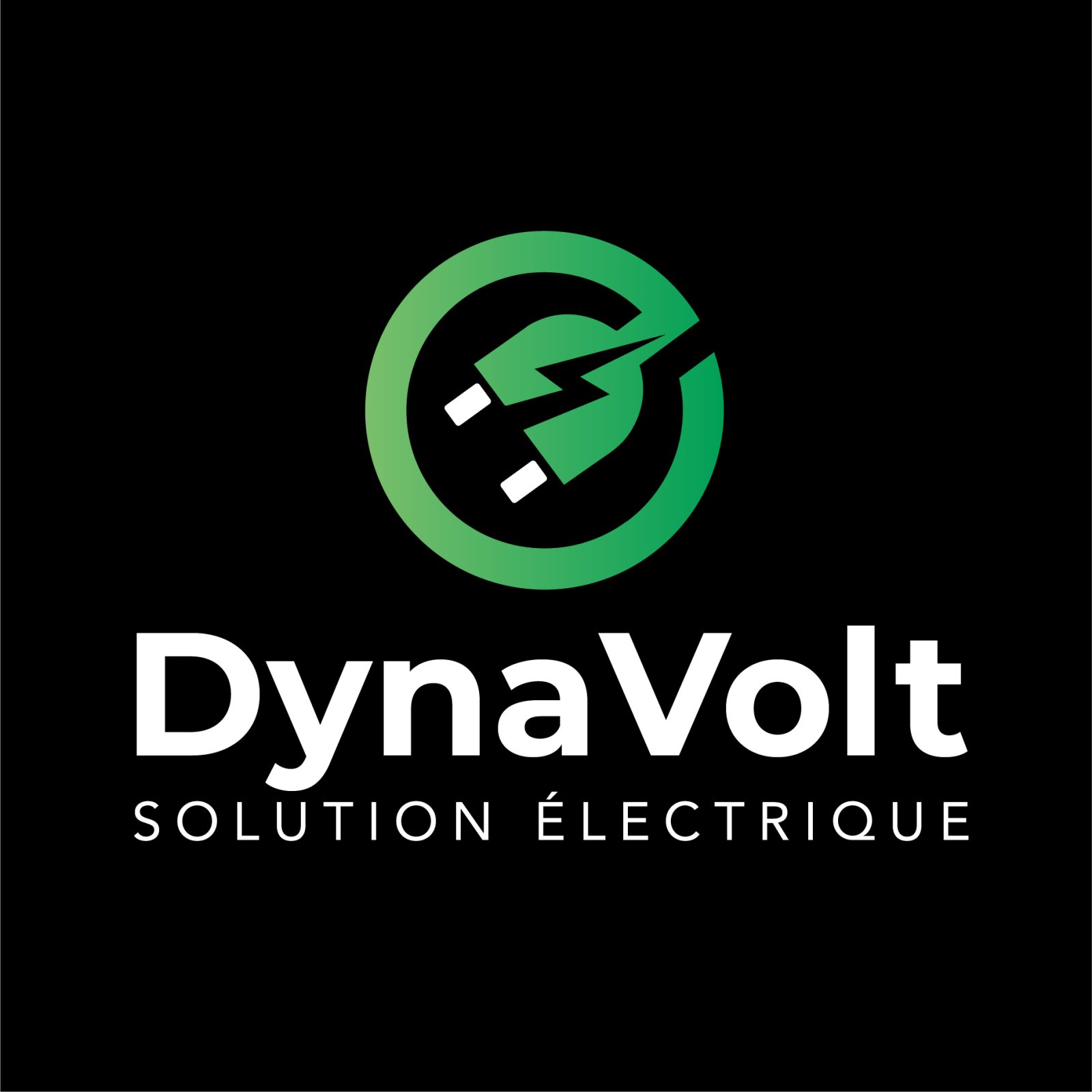 Photo de DynaVolt Électrique